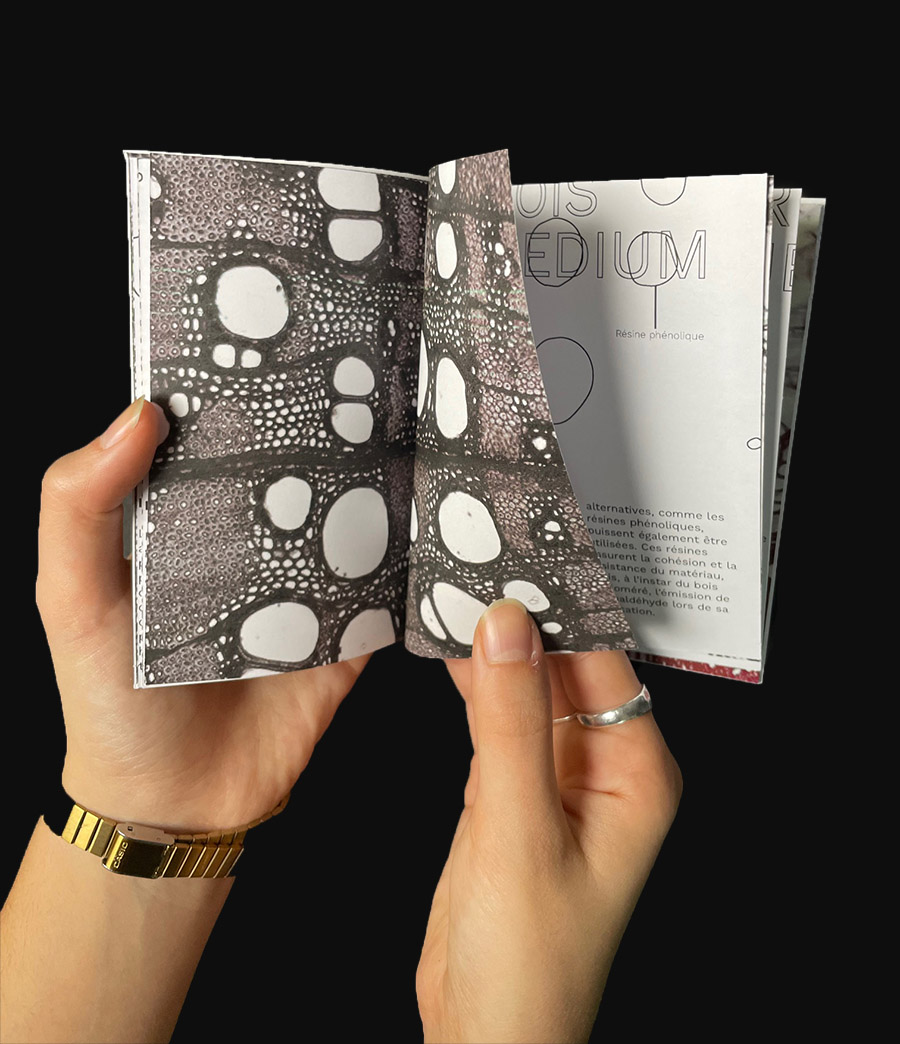 Présentation ouvrage